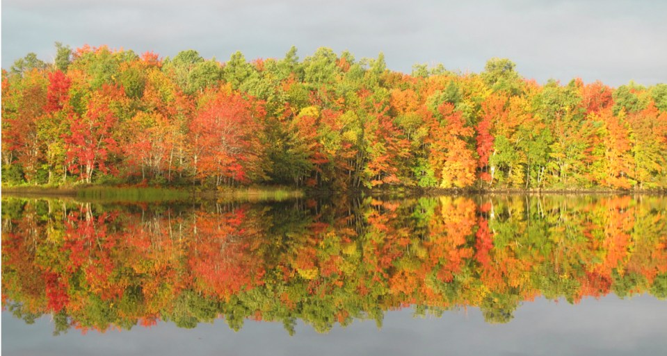 AutumnReflections3